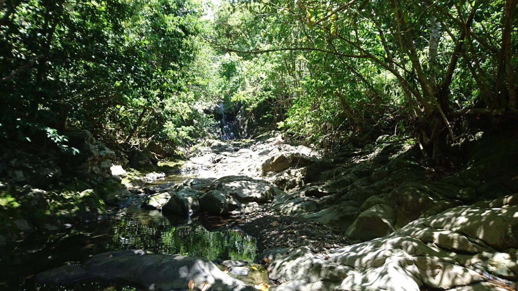 Awmony'Kaz, Gite A Trois-Rivieres Guadeloupe Exterior photo